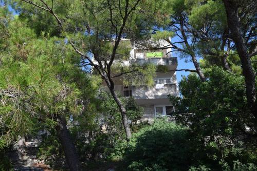 Apartments Polic