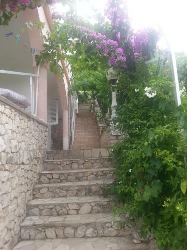 Apartmani Mili?a L