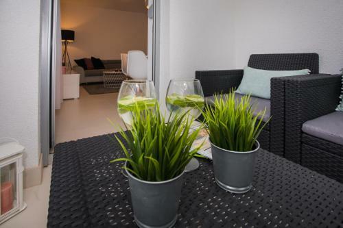 Apartment Luni
