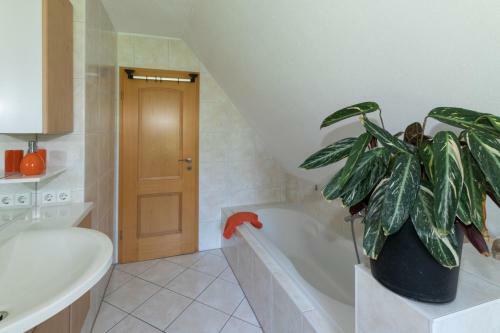 Hostal Bordmann�s Scheune