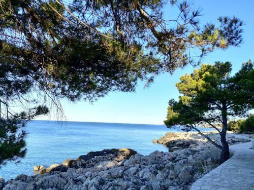 Apartments Galeb