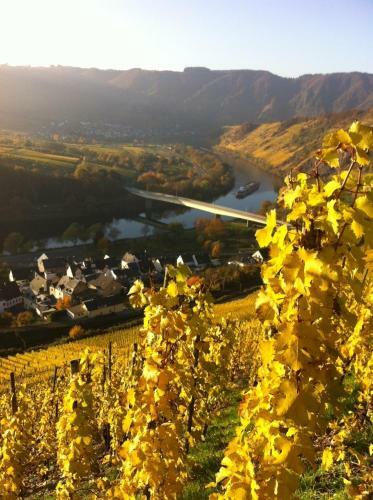 Bed & Breakfast G�stezimmer Im Weingut Amlinger&sohn