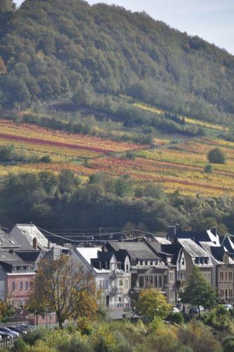 Bed & Breakfast G�stezimmer Im Weingut Amlinger&sohn