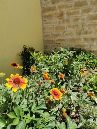 Apartman Gracin Dvor