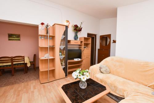 Apartments Djiko
