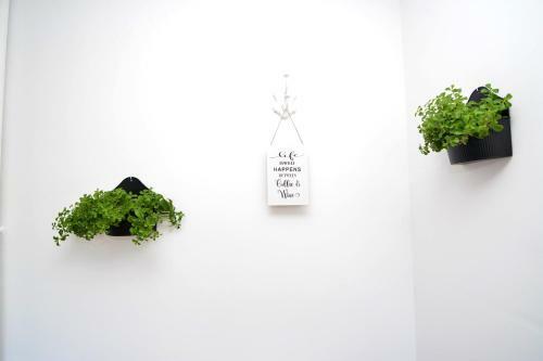 Apartman Majur