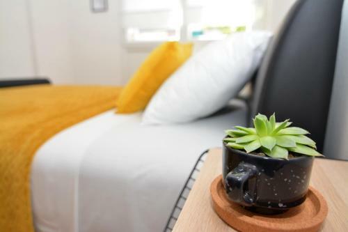 Apartman Majur
