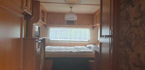 Hundecamping Fehmarn Wulfener Hals
