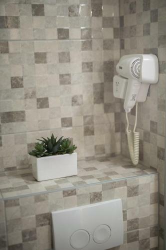 Apartman Lola