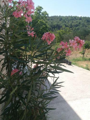 Hostal Banin