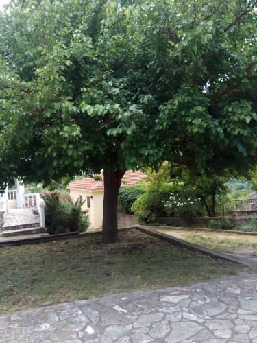 Apartamento Romana