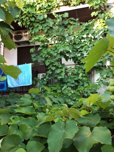 Andrije Kr?ula 51 Apartman