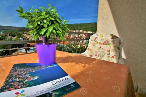 Hostal Apartments & Rooms Lonzor