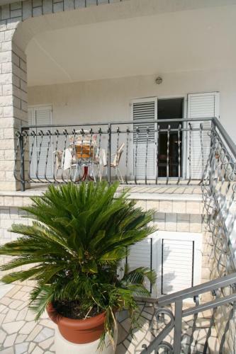 Hostal Apartments & Rooms Lonzor