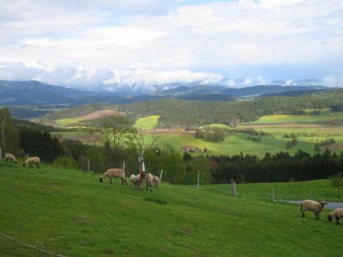Apartamento Ferienwohnung Bayerwald
