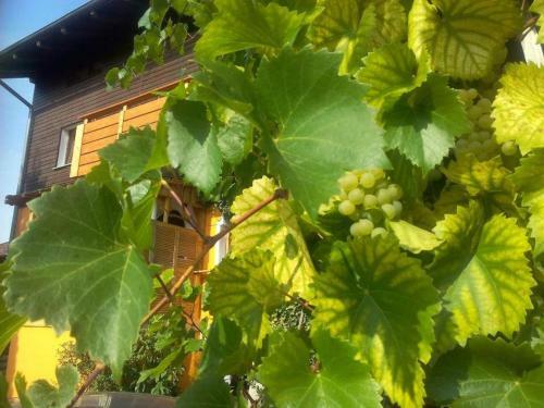 Apartamento Ferienwohnung Bayerwald