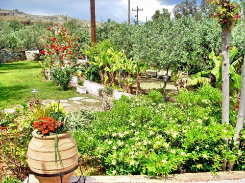 Apartamento Villa Galini Lindos