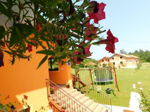 Apartment Petrovic