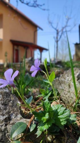 Apartamento Smaragd River Near Rastoke & Plitvice Lakes