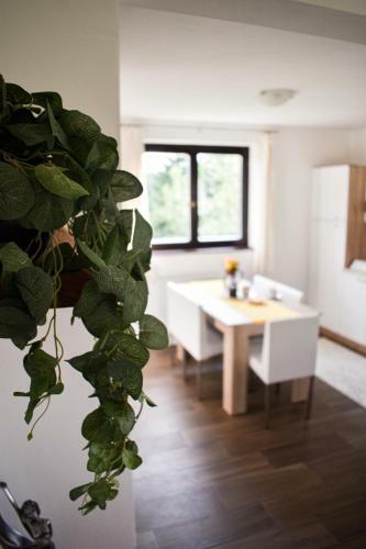 Apartamento House Narta - Rastoke