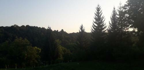 Apartamento House Narta - Rastoke