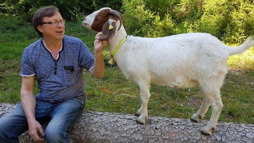 Hostal Pension & Apartments Linkem�hle
