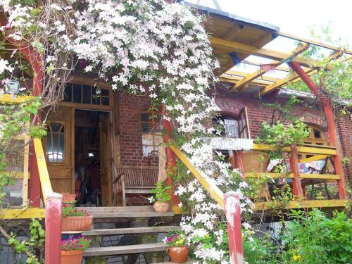 Apartamento Windm�hle An Der Nordsee In Der N�he B�sum