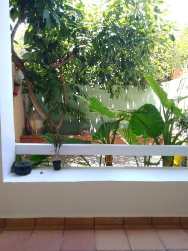 Apartamento Zacharoula's Home