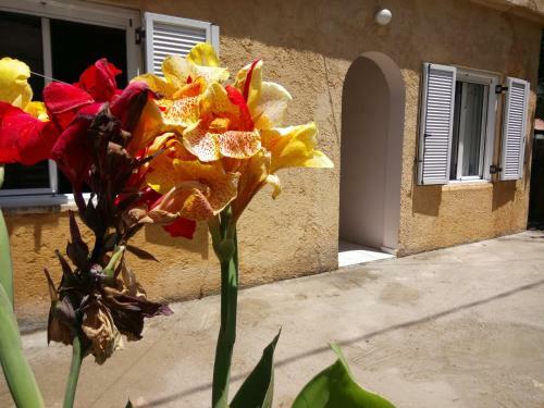 Apartamento Sitzanaki Home