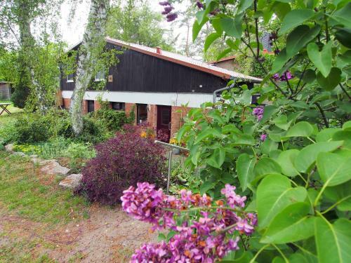 Apartamento Ferienwohnung Am D�mmer See