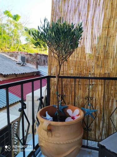 Apartamento Marinos Suites
