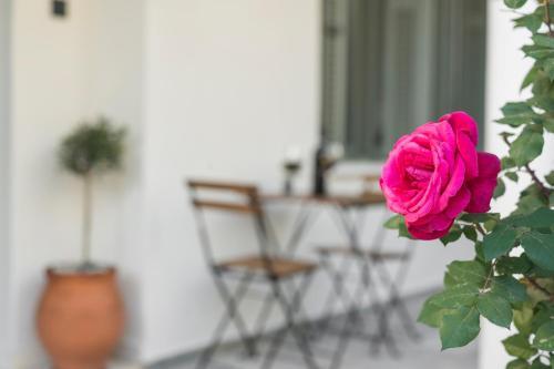 Apartamento Casa 28 I