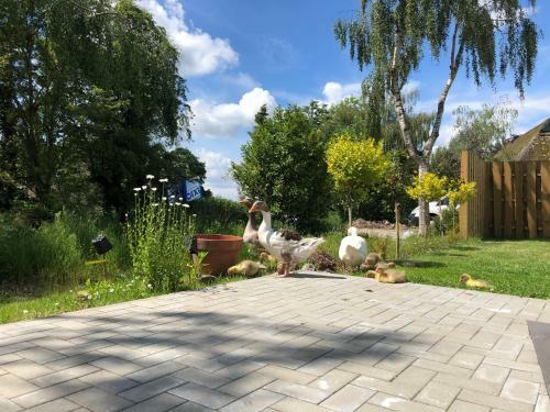 Apartamento Ferienhaus In Dithmarschen