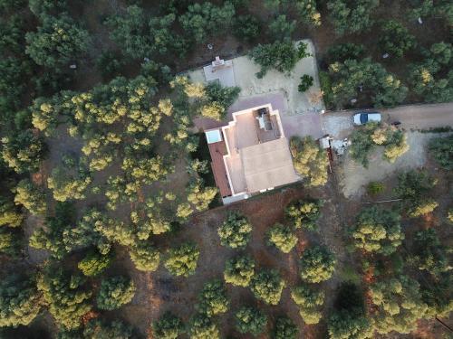 Villa Mioara's Cottage