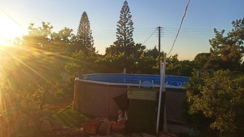 Dream Tiny House With Pool & Gym