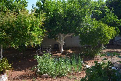 Sergios Village House