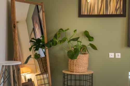 Apartamento Ethyr City Living
