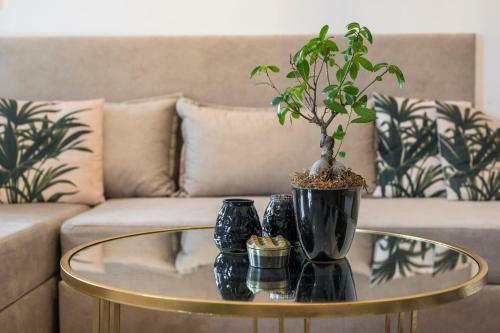 Apartamento Ethyr City Living