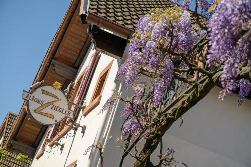 Hostal G�stehaus Palatinum
