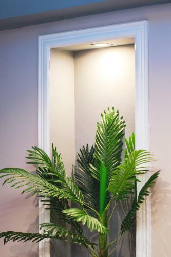 Apartamento Welcome Dream Home