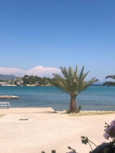 Sreser Domus Nostrae - Peljesac 1