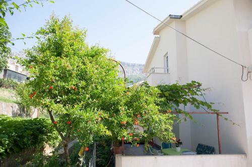 Apartamento Ana Marija