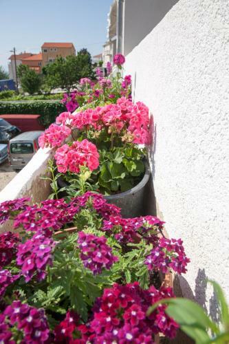 Apartamento Ana Marija