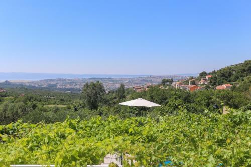 Holiday Home Rupotina With A Large Yard, Pool And A Beautiful View