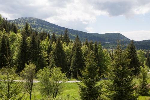 Gorska Bajka - Ku?a Za Odmor Smreka