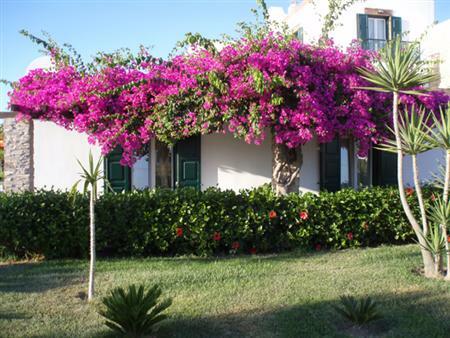 Hotel Porto Naxos
