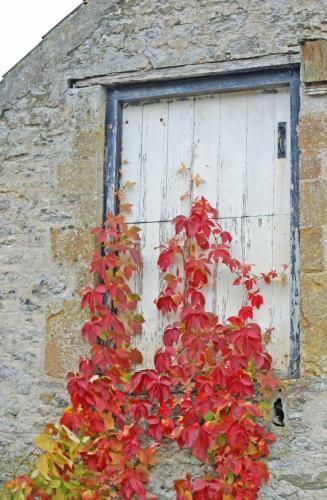 Westbury Cross House Bed & Breakfast