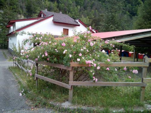 Hostal El Chate