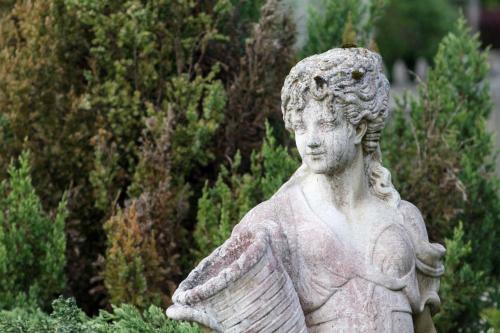 Bed & Breakfast L'or�e De Sologne