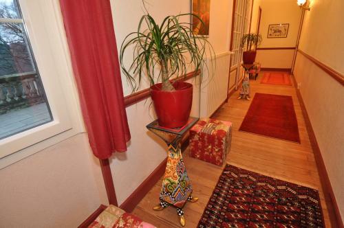 Bed & Breakfast Chambres D'h�tes Ch�teau De Bellevue